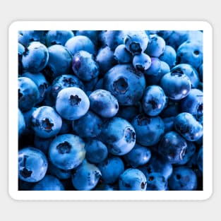 Blueberry Sticker